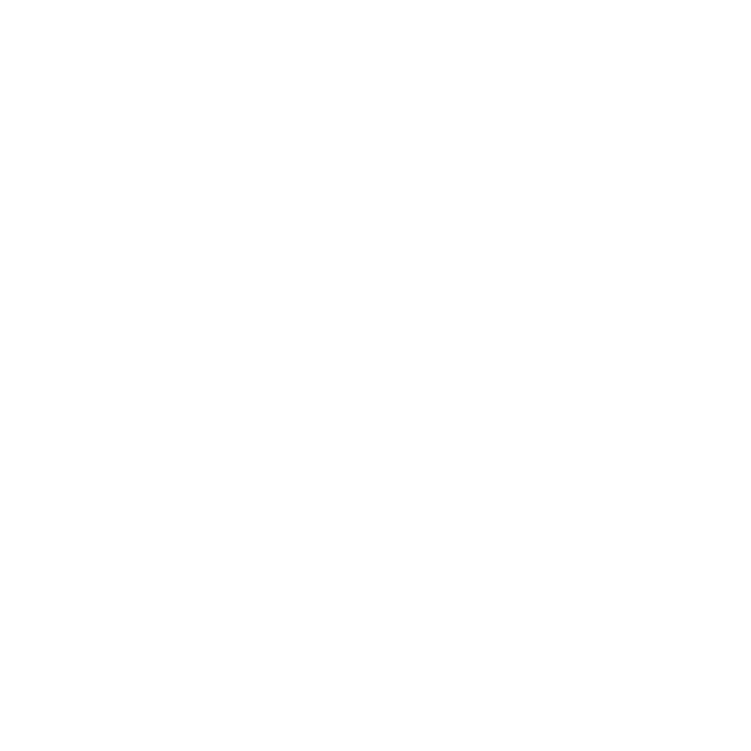 Ahoum Logo Animation